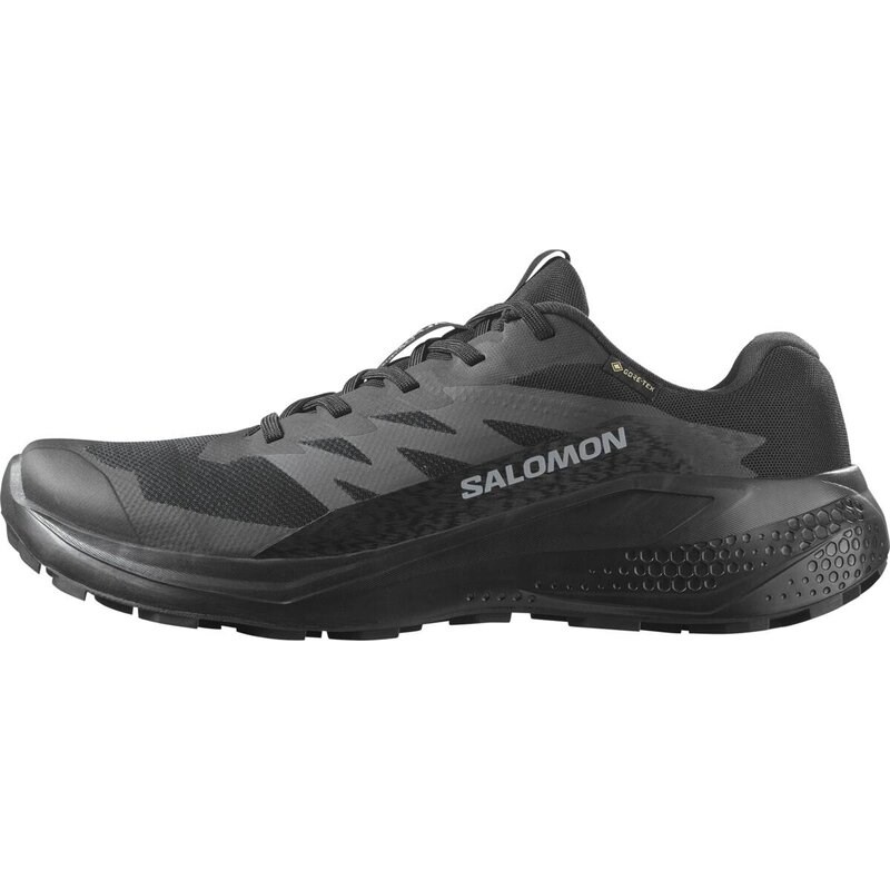 Salomon Herren Trailrunningschuhe SHOES ALPHAGLIDE GTX - Schwarz/Asphalt/Schwarz