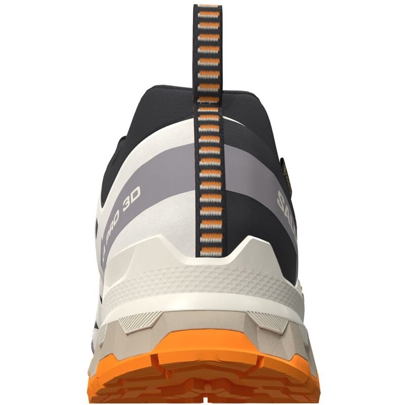 Salomon Herren Trailrunningschuhe SHOES XA PRO 3D V9 GTX - Schwarz/Vanilleeis/Kurkuma