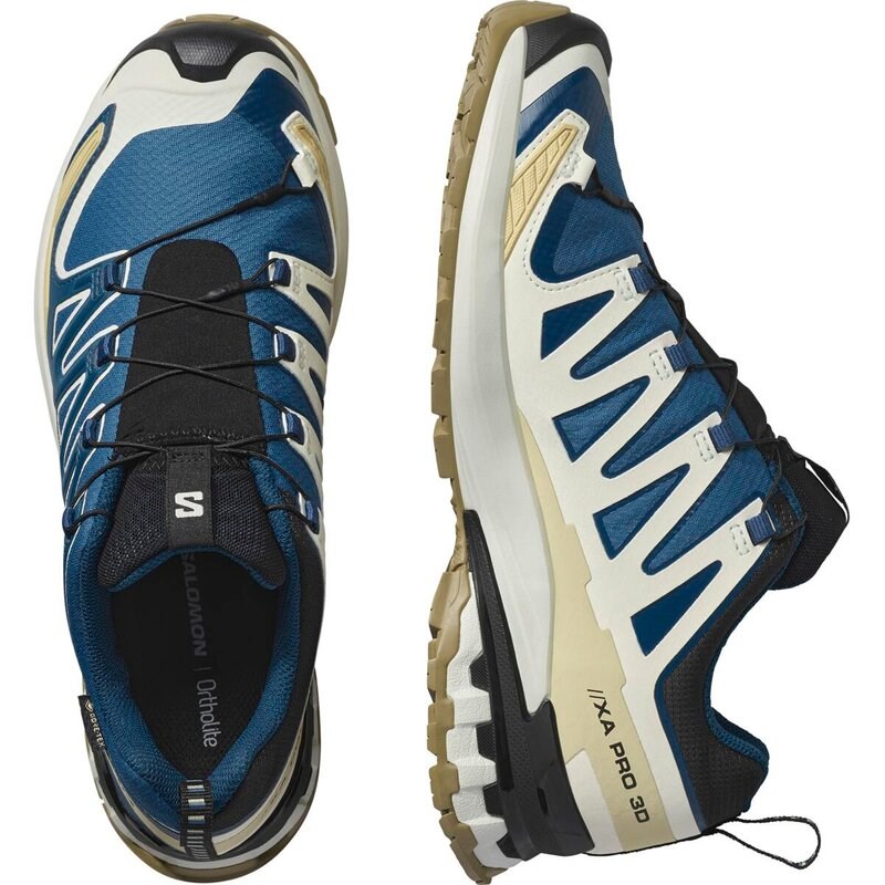 Salomon Herren Trailrunningschuhe SHOES XA PRO 3D V9 GTX Dark - Dunkelblau/Eiszapfen/Aloe