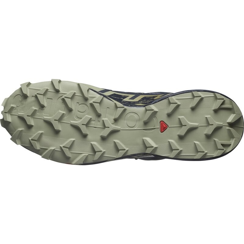 Salomon Herren Trailrunningschuhe SHOES SPEEDCROSS 6 GTX - Grisaille/Kohlenstoff/Tee