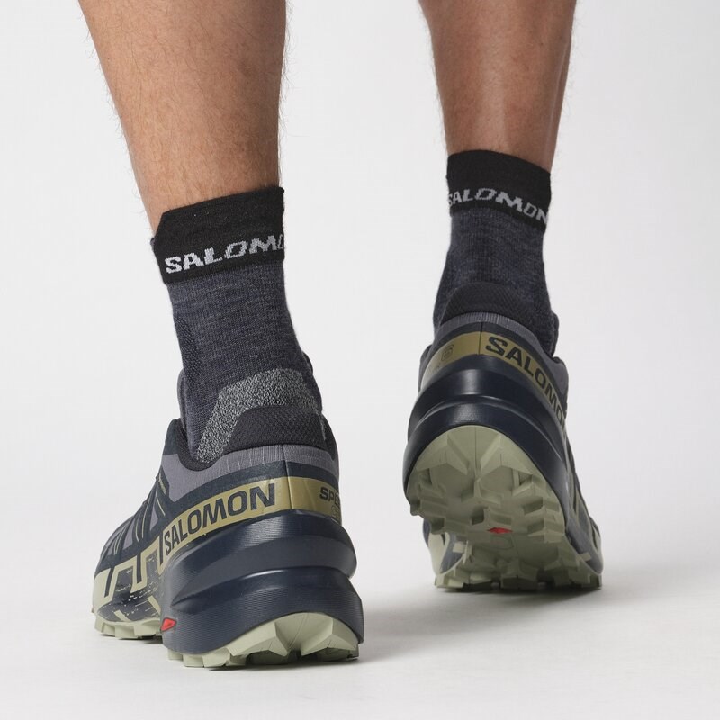 Salomon Herren Trailrunningschuhe SHOES SPEEDCROSS 6 GTX - Grisaille/Kohlenstoff/Tee