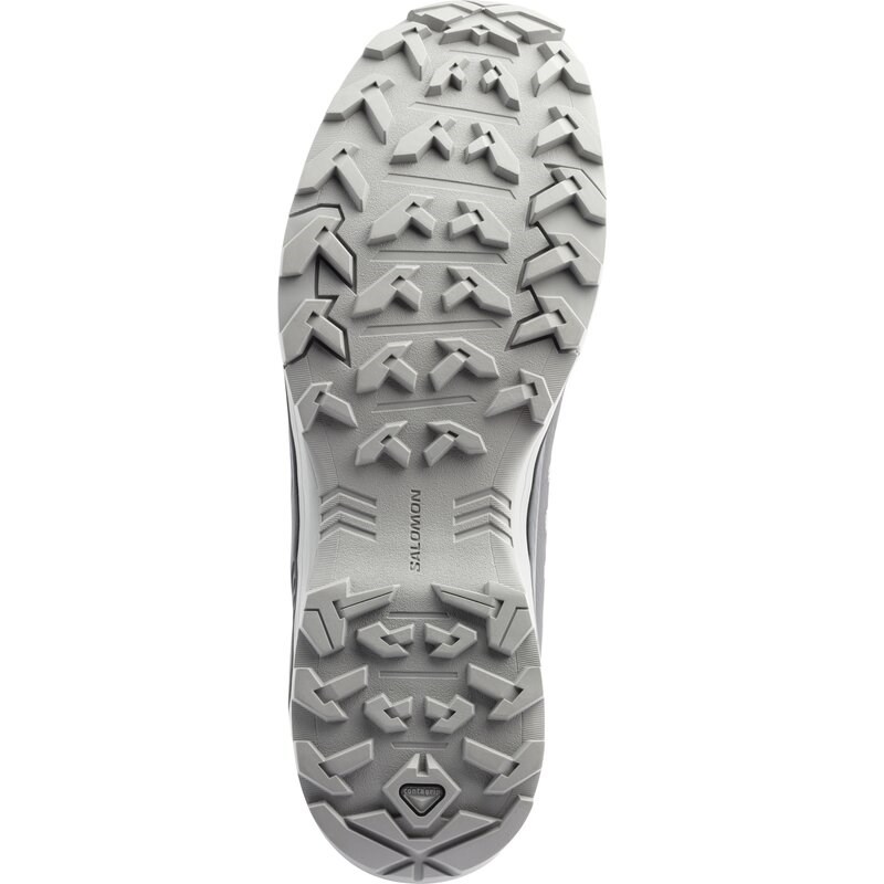 Salomon Herren Multifunktionsschuhe SHOES EXTEND GTX - Legierung/Asphalt/Scharfer Senf