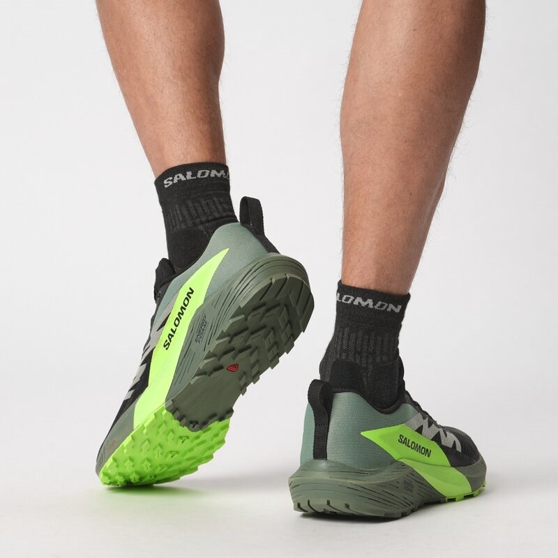 Salomon Herren Trailrunningschuhe SHOES SENSE RIDE 5 - Schwarz/Lorbeerkranz/Grüner Gecko