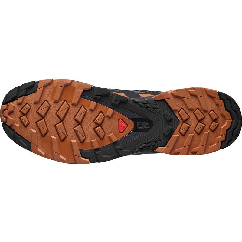 Salomon Herren Outdoorschuhe XA PRO 3D v8 - Ebenholz/Karamell-Café/Schwarz