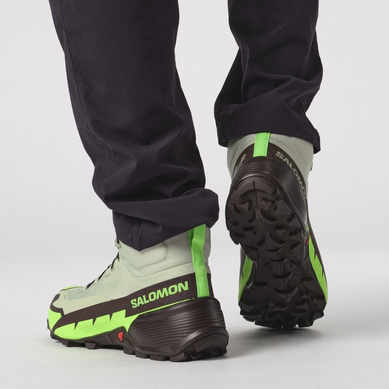 Salomon Herren Multifunktionsstiefel SHOES CROSS HIKE MID GTX 2 - Wüstensalbei/Grüner Gecko/Schokolade P