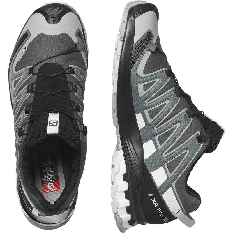 Salomon Herren Trailrunningschuhe SHOES XA PRO 3D v8 GTX - Magnet/Stürmisches Wetter/Weiß