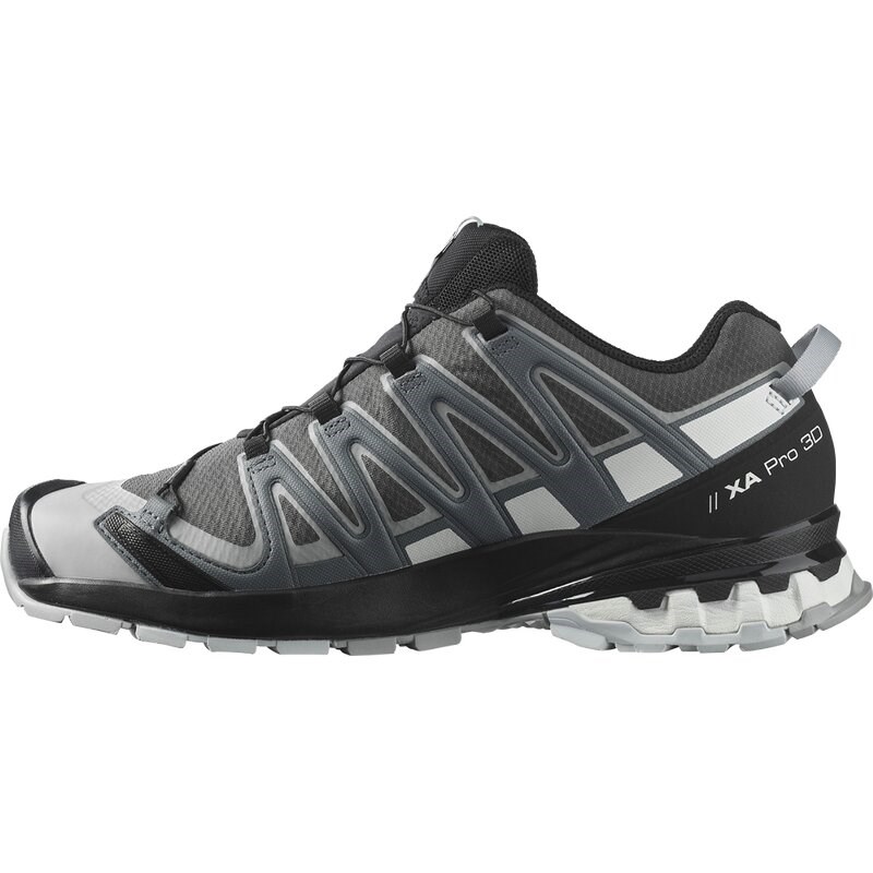 Salomon Herren Trailrunningschuhe SHOES XA PRO 3D v8 GTX - Magnet/Stürmisches Wetter/Weiß