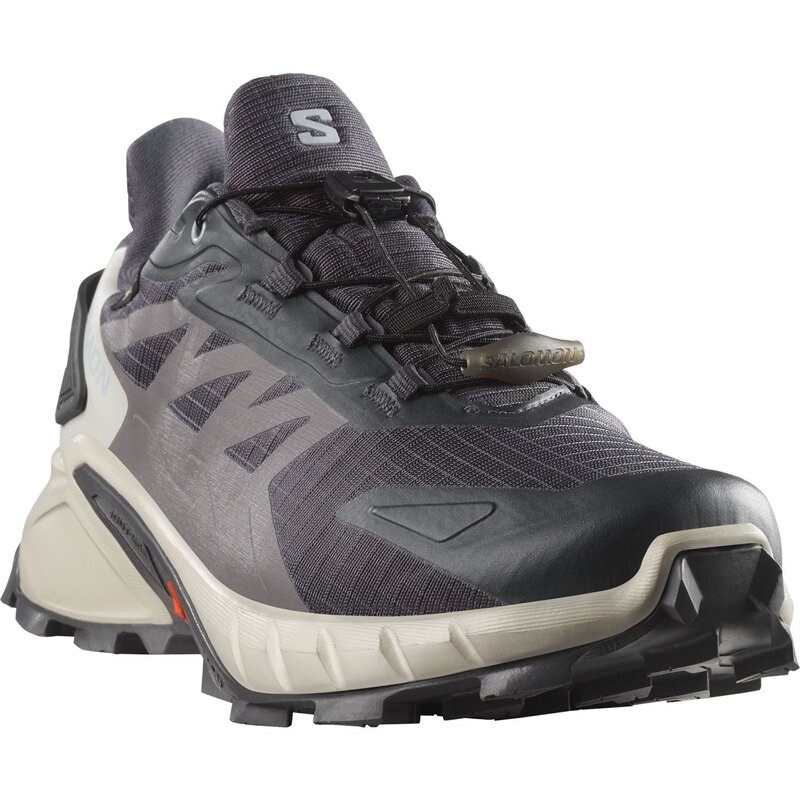 Salomon Damen Trailrunningschuhe SHOES SUPERCROSS 4 GTX W 9 - Neun Eisen/Lunar Rock/Cosmic Sky