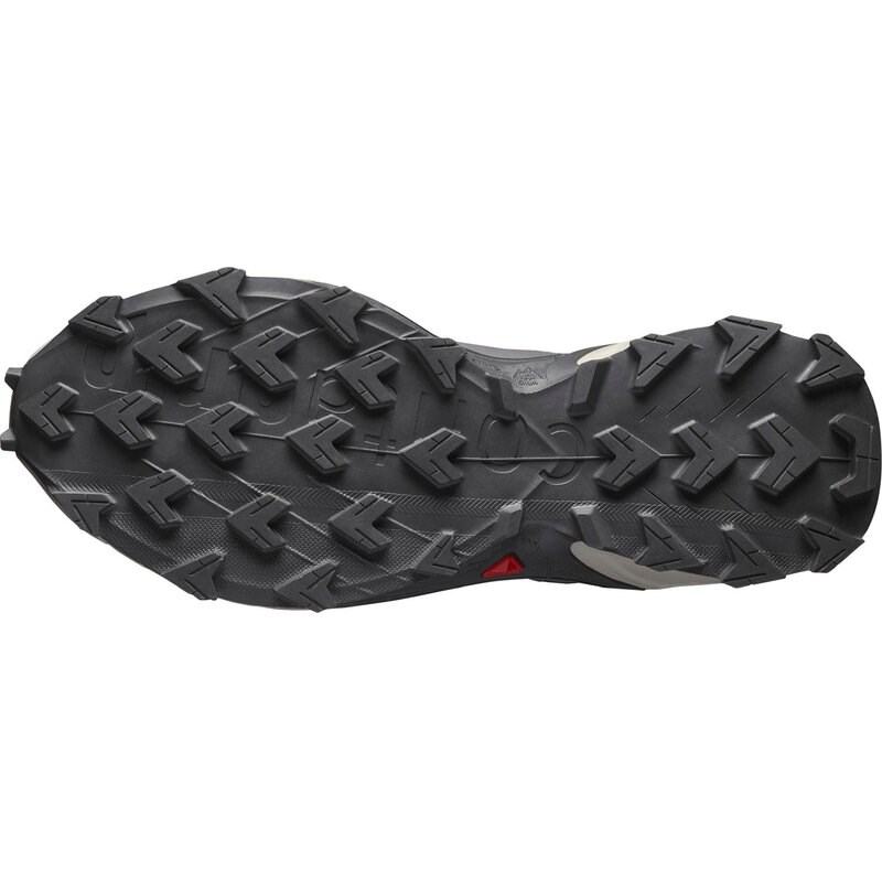 Salomon Damen Trailrunningschuhe SHOES SUPERCROSS 4 GTX W 9 - Neun Eisen/Lunar Rock/Cosmic Sky