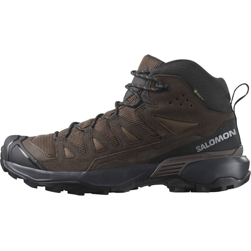 Salomon Herren Multifunktionsstiefel SHOES X ULTRA 360 LTR MID GTX - Dunkel Erde/Delicioso/Castlerock
