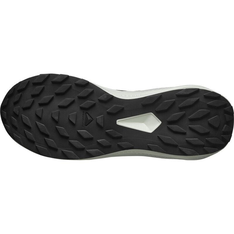 Salomon Herren Trailrunningschuhe SHOES ALPHAGLIDE - Schwarz/Phantom/Eiszapfen